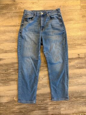 American Eagle Outfitters Curvy Mom Jeans